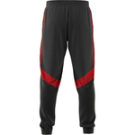 IP9654-Pantalon-Deportivo-Tejido-River-Plate-B