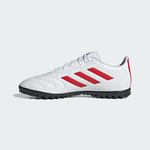 IH5865-Botin-GoletoVIII-Atras