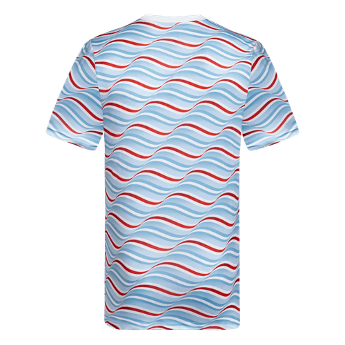 Camiseta Pre Partido River Plate 24/25
