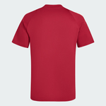 IS5542-Remera-de-Entrenamiento-River-Plate-24-25