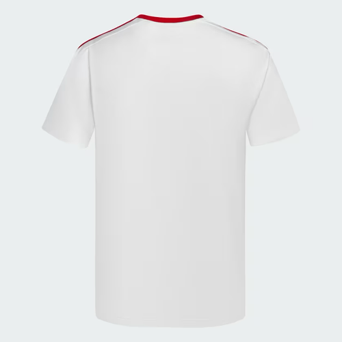Remera  DNA River Plate