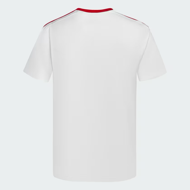 IT3886-Remera-DNA-River-Plate