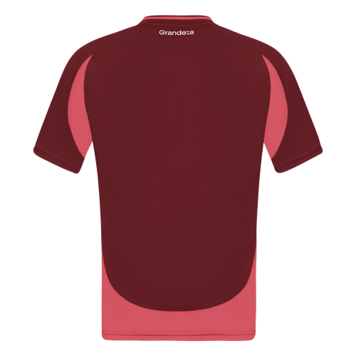Camiseta Alternativa River Plate 24/25 Niño