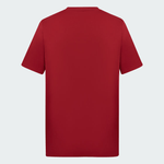 IT3879-Remera-SZN-River-Plate