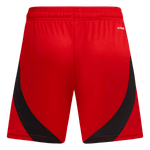 IV8187_B_Torso.png