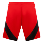 IV8195_B_Torso.png