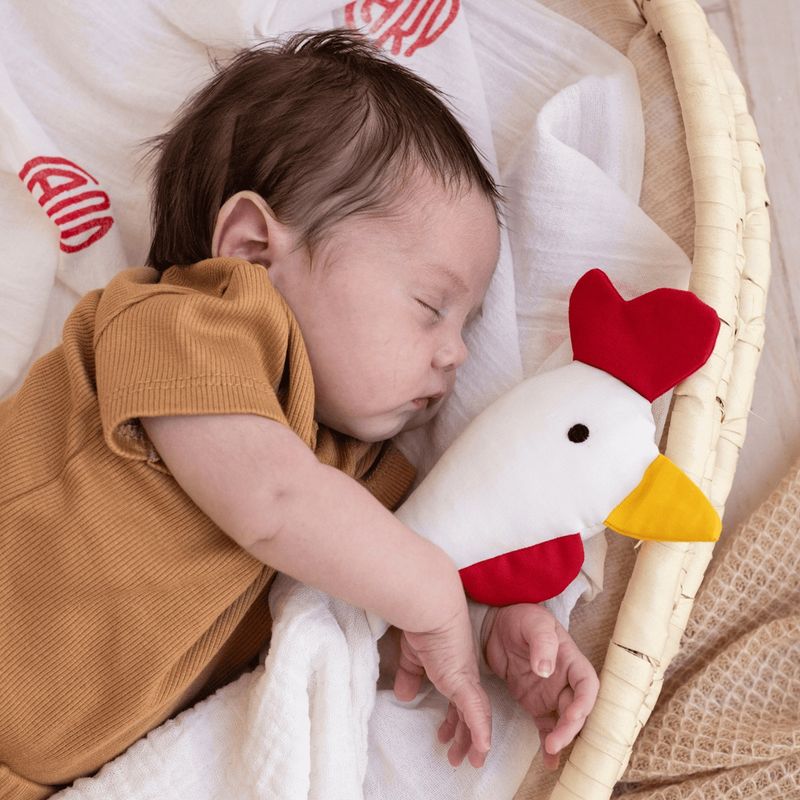 1200-bebe-2.jpg