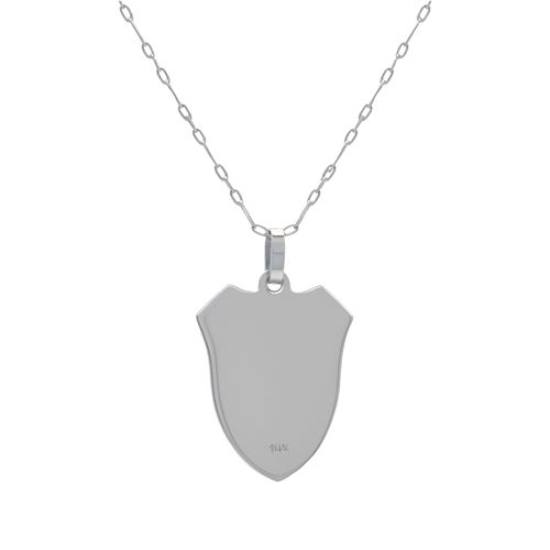 Conjunto Dije Escudo y Cadena Esmaltado River Plate